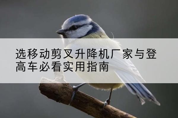 顺城电动升降机厂家-选移动剪叉升降机厂家与登高车必看实用指南