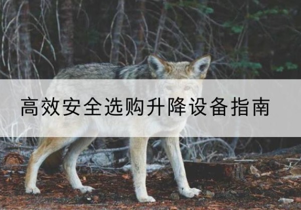 顺城升降货梯厂家推荐-*安全选购升降设备指南