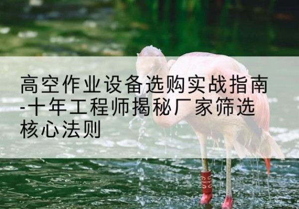 顺城剪叉式升降机厂家-高空作业设备选购实战指南-十年工程师揭秘厂家筛选核心法则