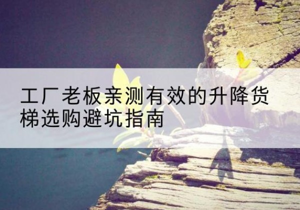 顺城升降货梯怎么选-工厂老板亲测有效的升降货梯选购避坑指南